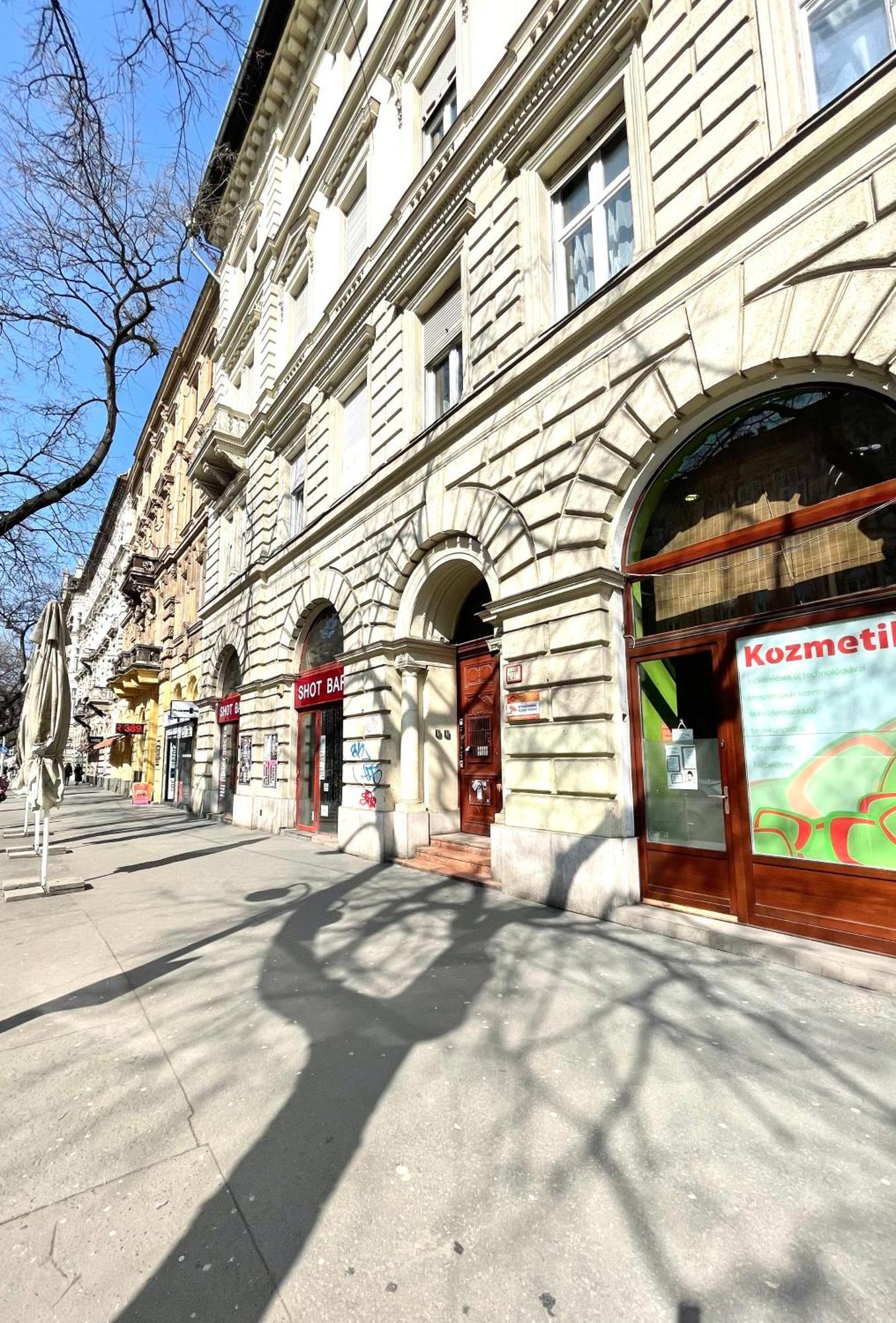 Amazing Swedish 3 Rooms Apartment In The City Center Budapest Eksteriør bilde